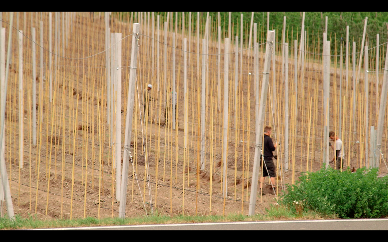 Das Wunder Von Mals Das Wunder Von Mals